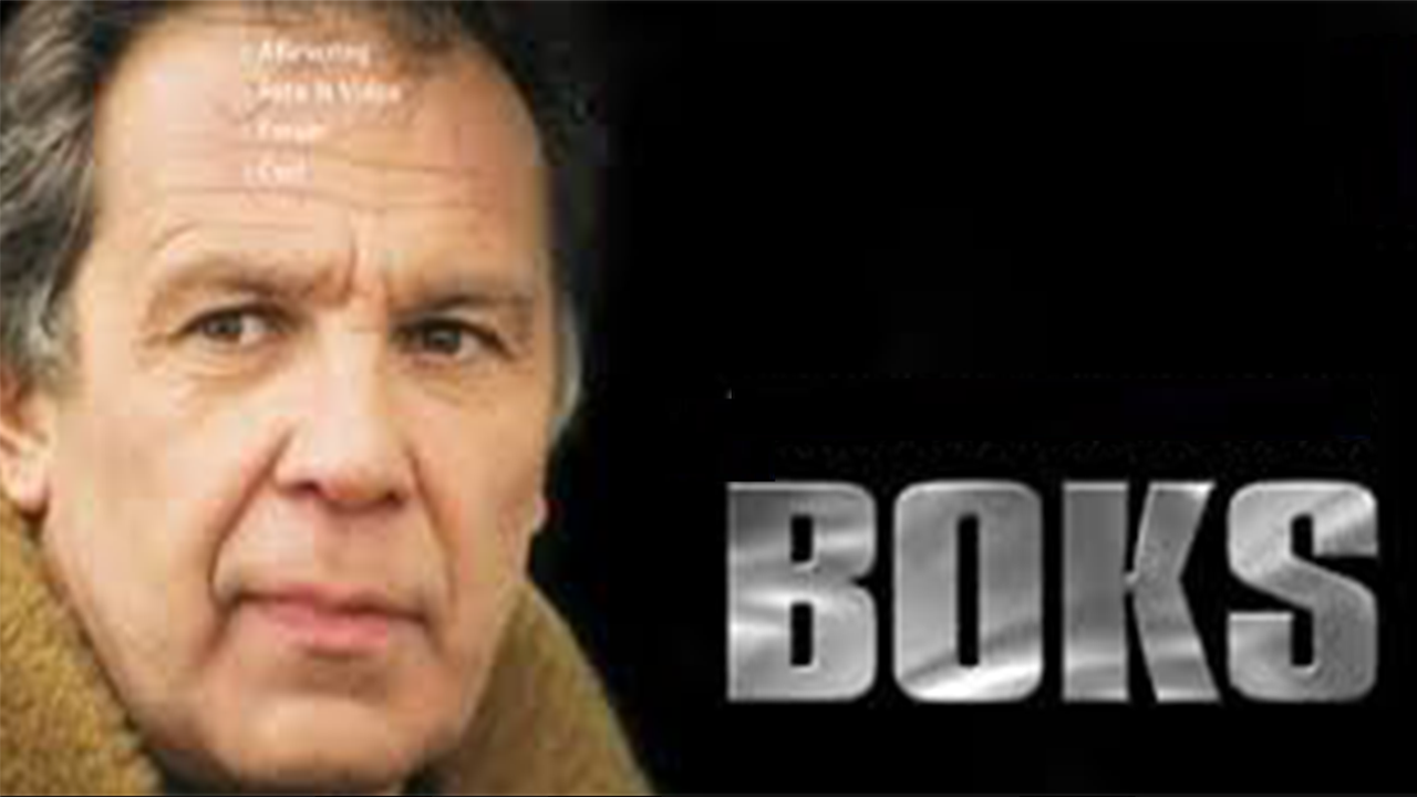 BOKS! (tv-serie) - Sound Design en Mixage
