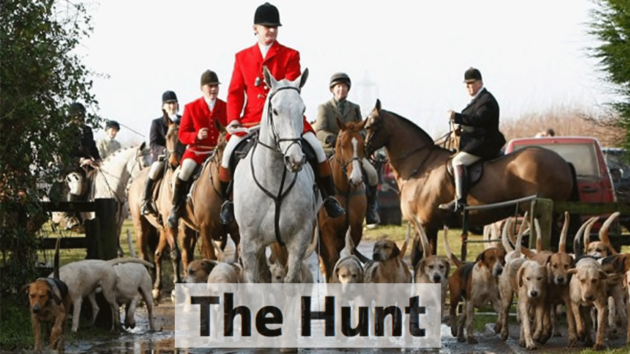 The Hunt (Documentaire) - Sound Design & Mixage